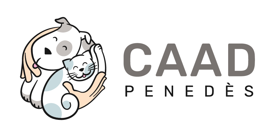 CaadPenedes